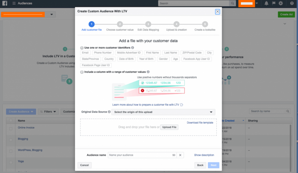 Facebook-Custom-Audience