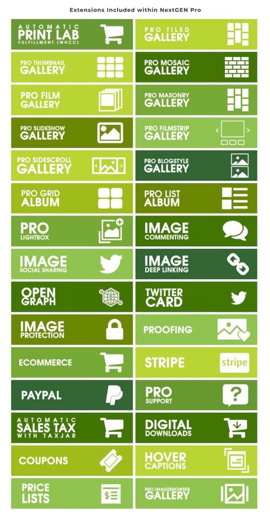 NextGEN-Pro-Extensions