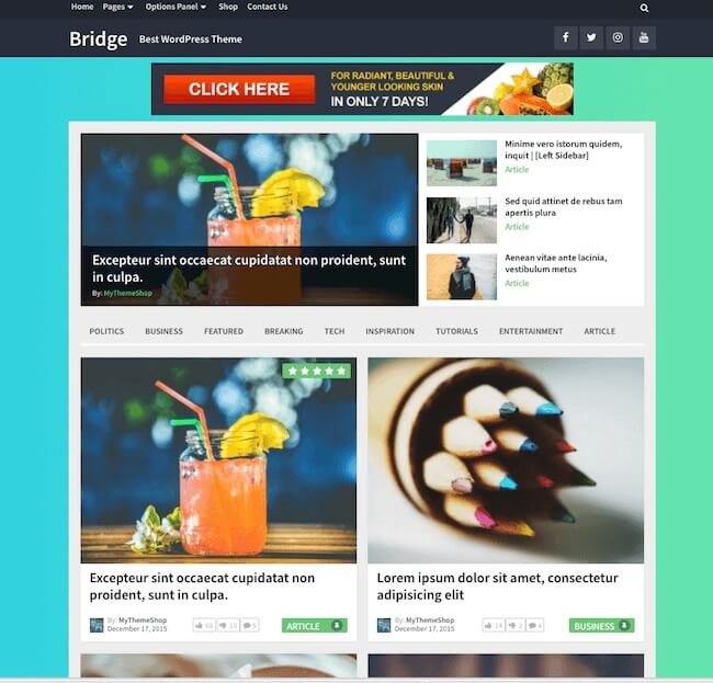 Bridge-AdSense-Theme