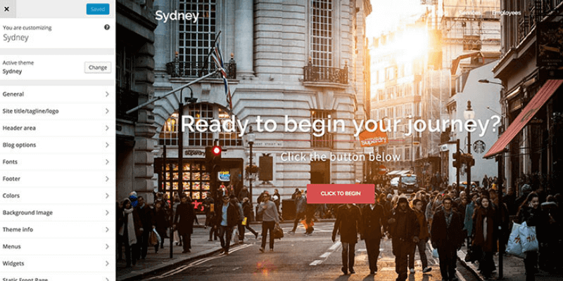Sydney-theme-options