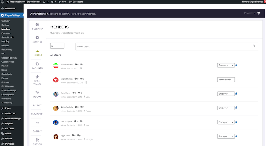 FreelanceEngine Theme Review