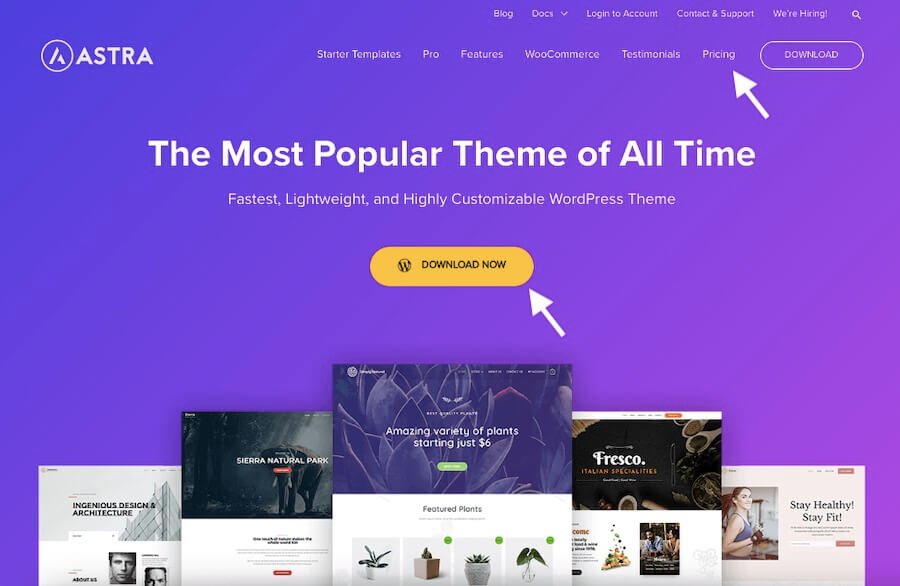 Astra Theme Discount Coupon